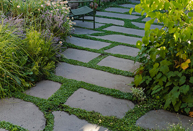 Bamstone bluestone - natural bluestone local to south-west Victoria.